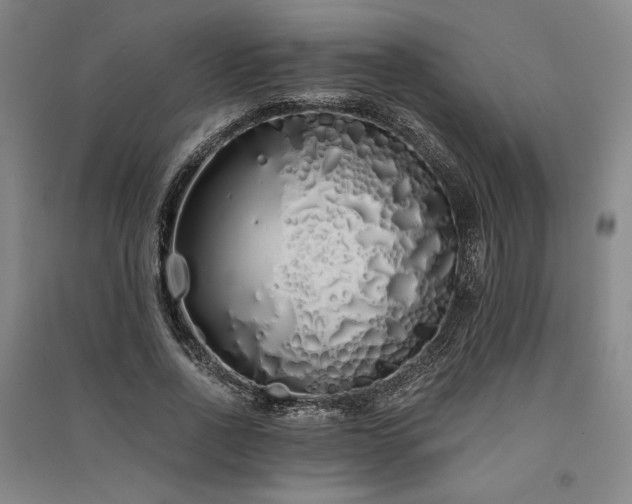 X0000091340734200708171410