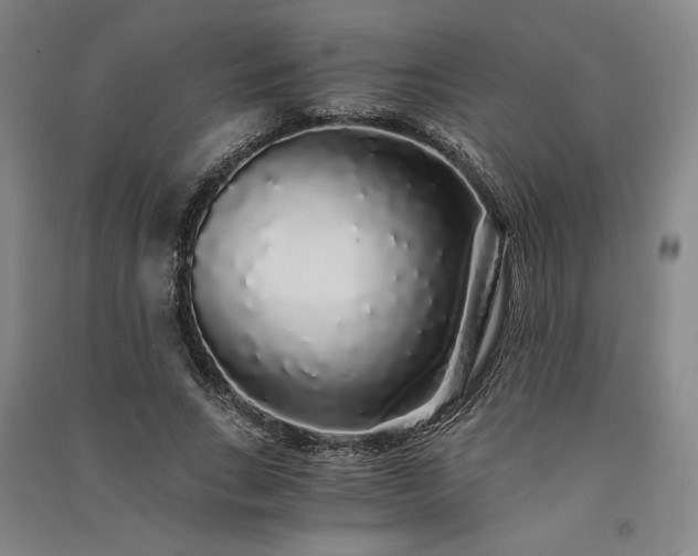 X0000091340735200708171410