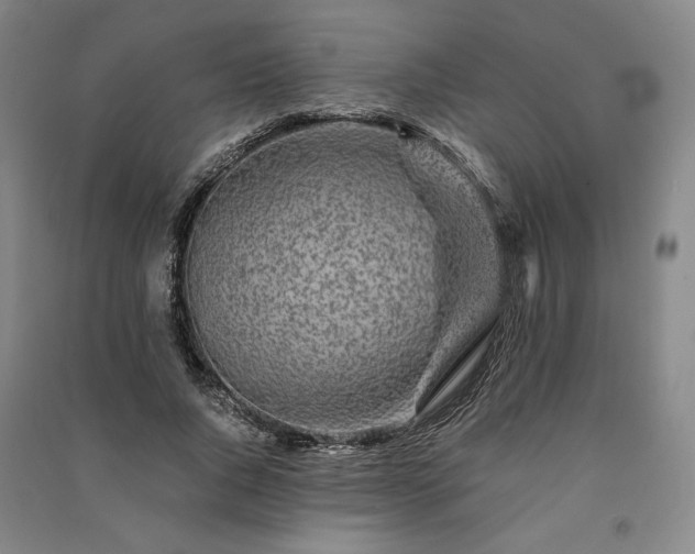 X0000091340736200708171410