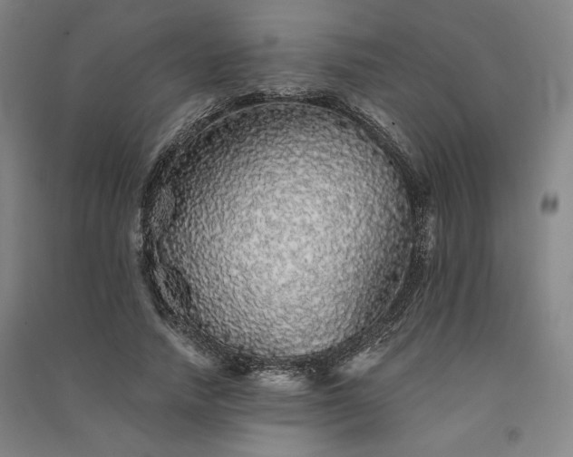 X0000091340738200708171410