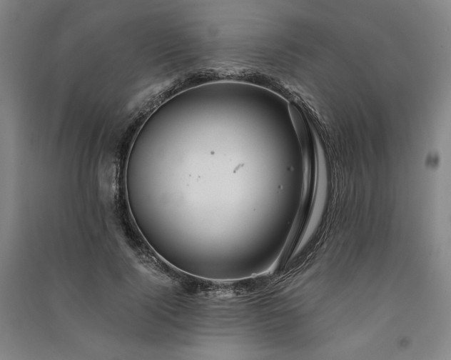 X0000091340740200708171410