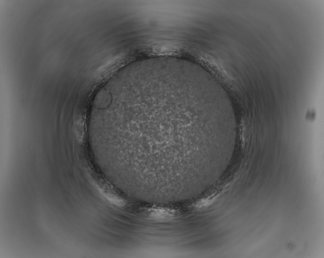 X0000091340741200708171410