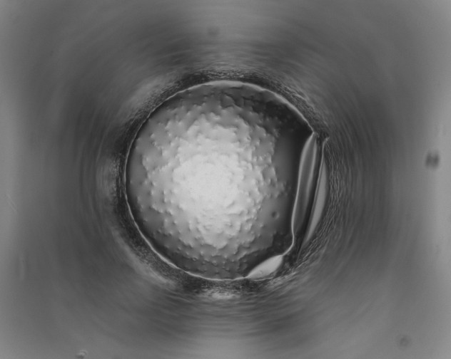 X0000091340742200708171410