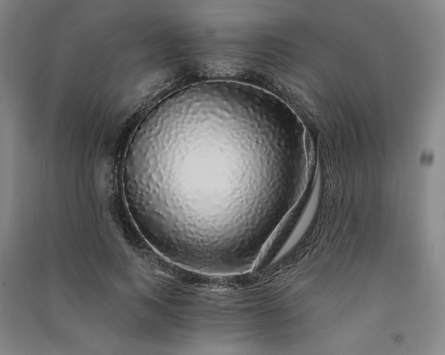 X0000091340743200708171410