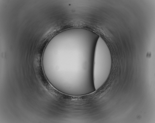 X0000091340744200708171410