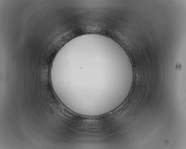 X0000091340745200708171410