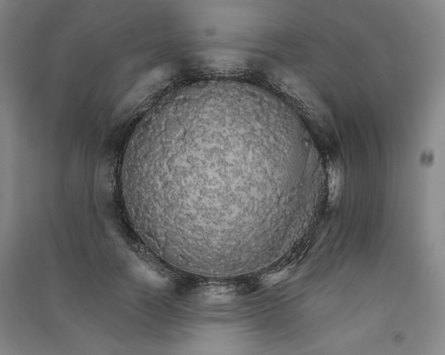 X0000091340746200708171410