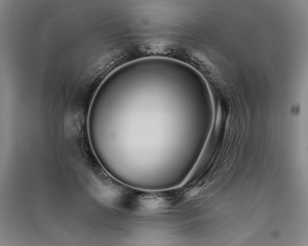 X0000091340747200708171410