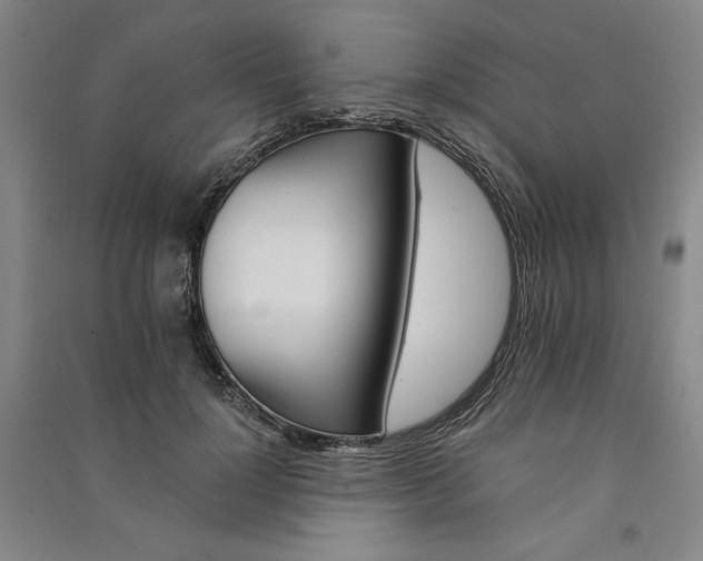 X0000091340748200708171410