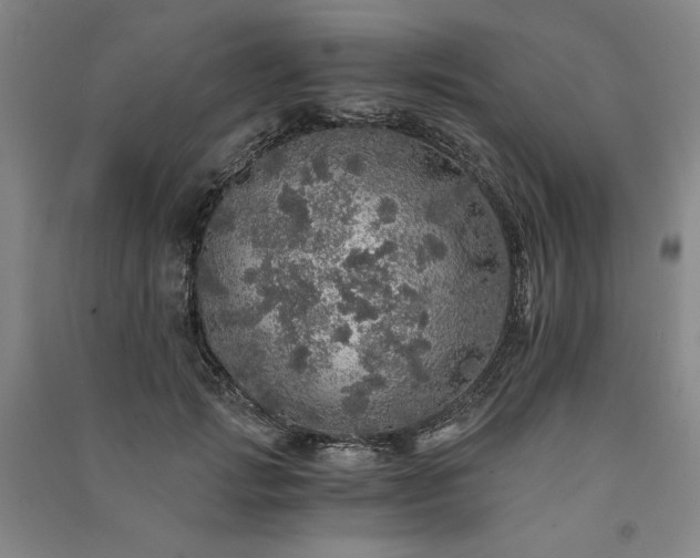 X0000091340749200708171410