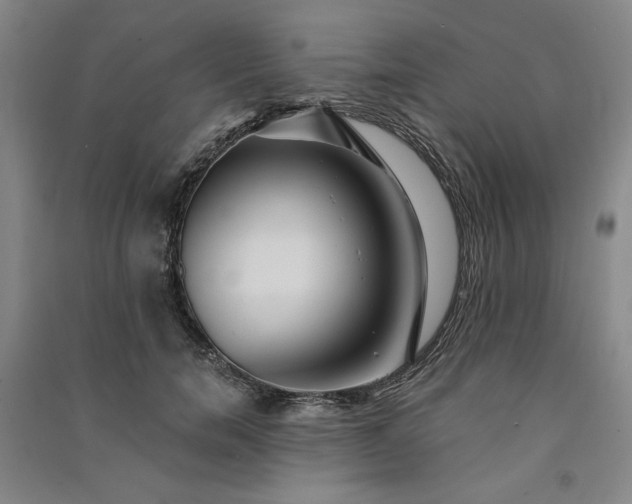 X0000091340750200708171410