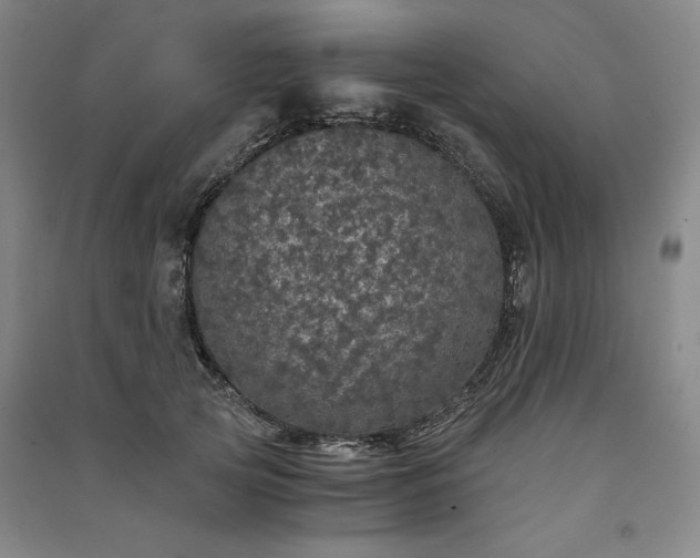 X0000091340753200708171410