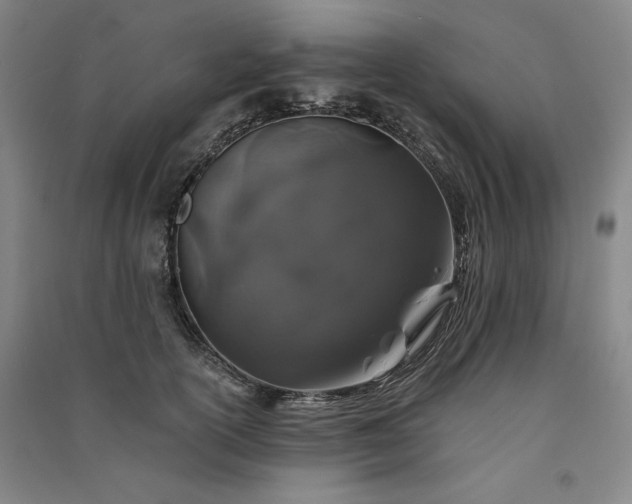 X0000091340754200708171410