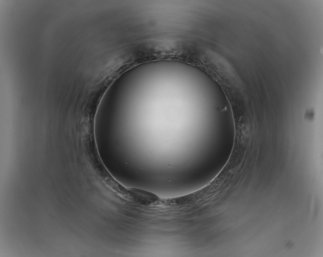 X0000091340756200708171410