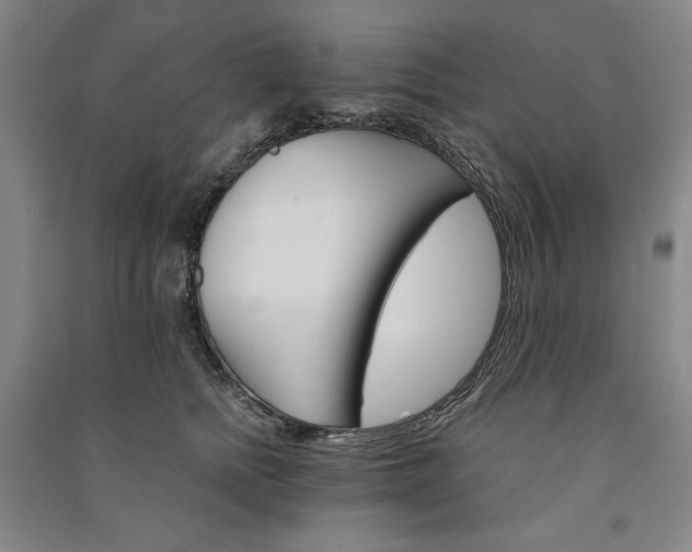 X0000091340758200708171410