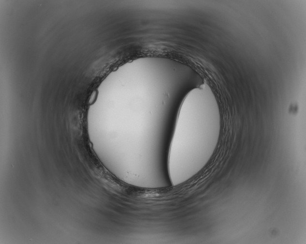 X0000091340759200708171410