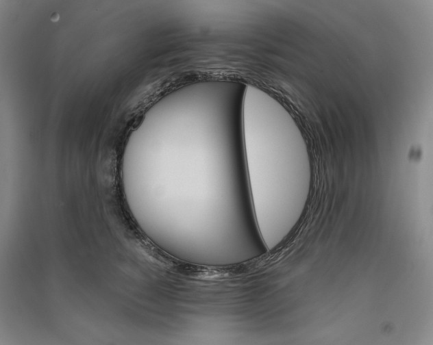 X0000091340760200708171410