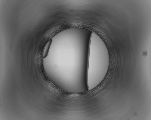 X0000091340762200708171411