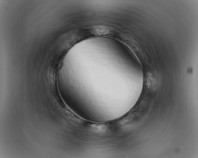 X0000091340763200708171411