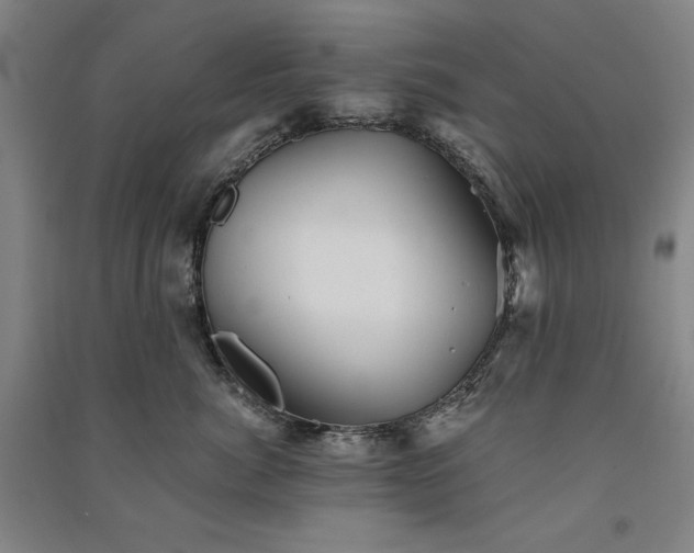 X0000091340764200708171411