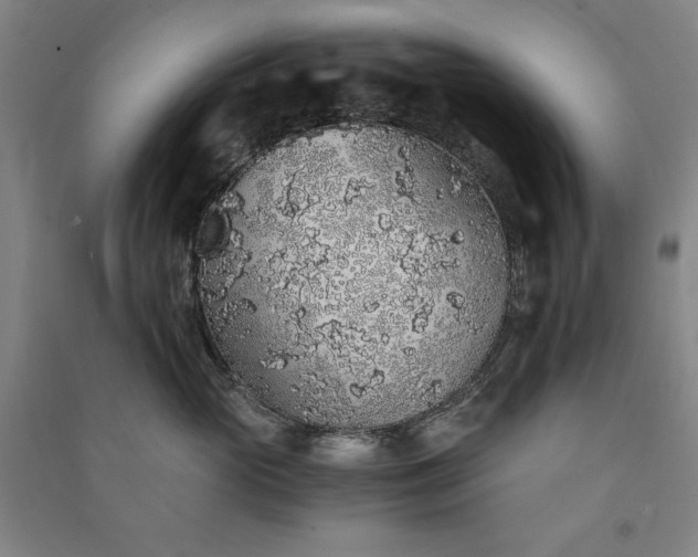 X0000091340765200708171411