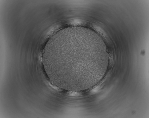 X0000091340766200708171411