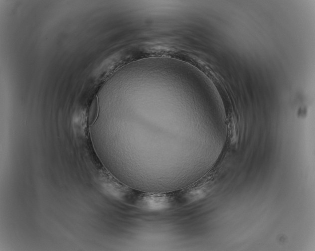 X0000091340767200708171411