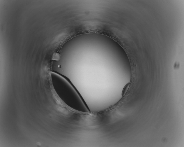 X0000091340768200708171411