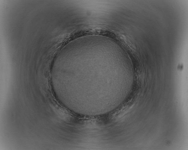 X0000091340769200708171410