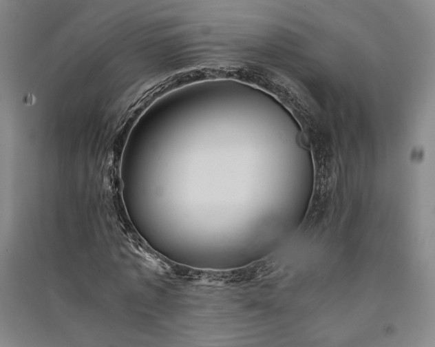 X0000091340773200708171410