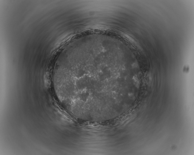 X0000091340774200708171410