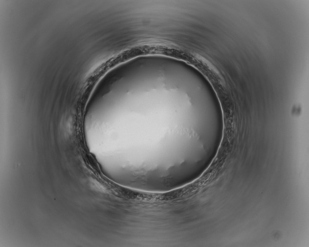 X0000091340775200708171410