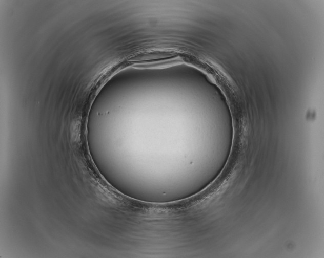 X0000091340777200708171410