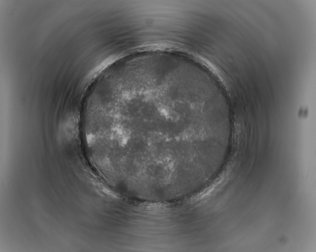 X0000091340778200708171410