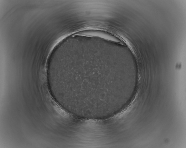 X0000091340779200708171410