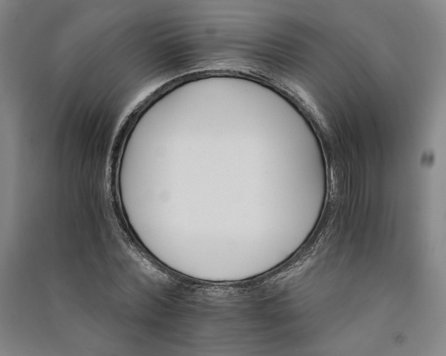 X0000091340780200708171410