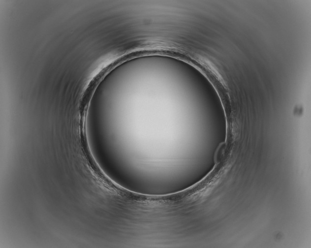 X0000091340781200708171410