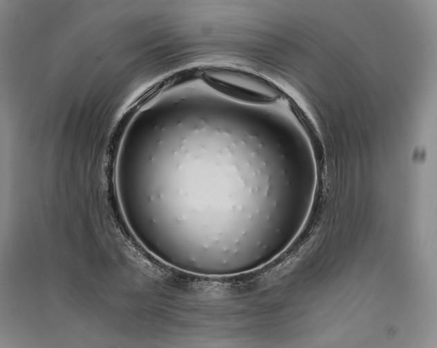 X0000091340783200708171410