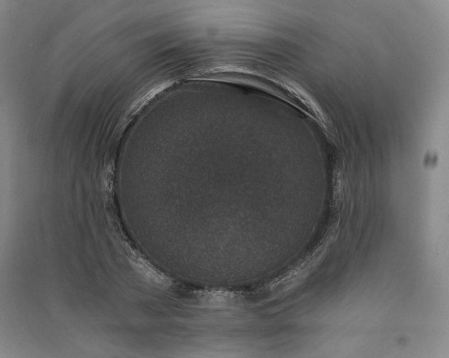 X0000091340785200708171410