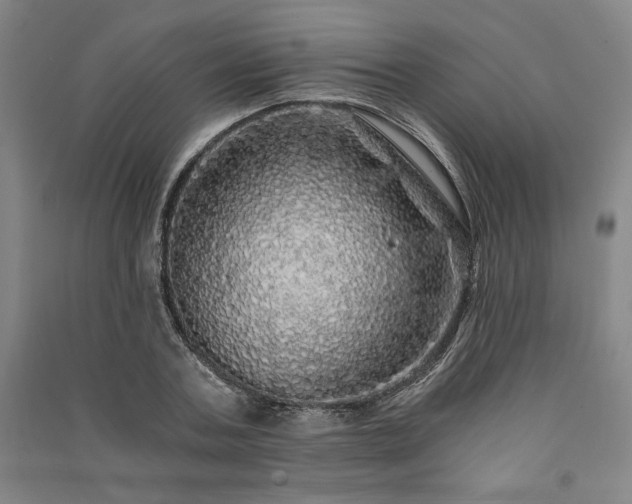 X0000091340787200708171410