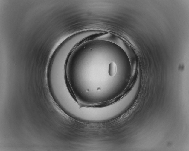 X0000091340788200708171410