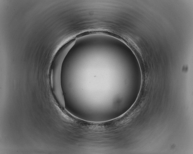 X0000091340789200708171410