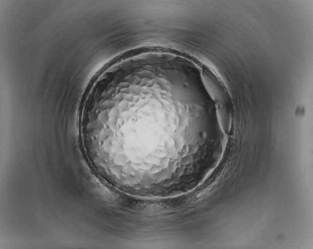 X0000091340791200708171410