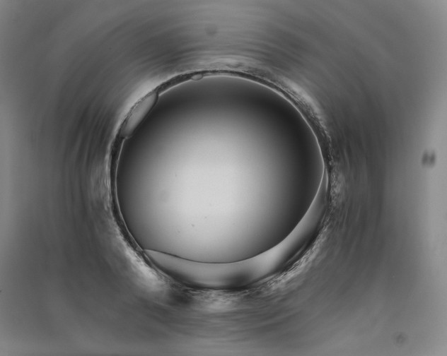 X0000091340792200708171410