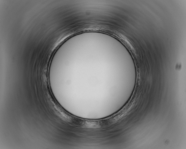 X0000091340794200708171410