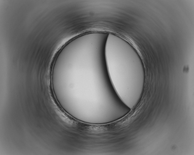 X0000091340795200708171410