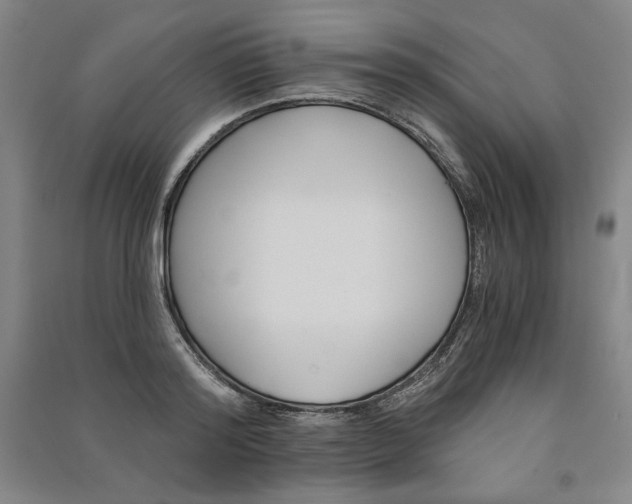 X0000091340796200708171410