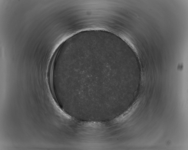 X0000091340797200708171410