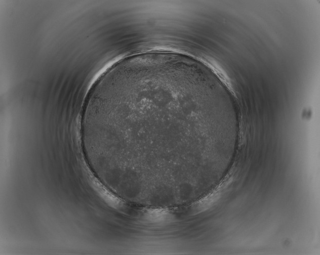 X0000091340798200708171410