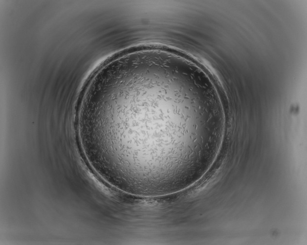 X0000091340799200708171410